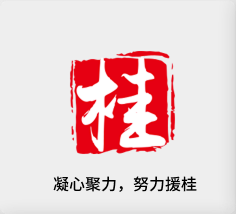 聚焦产业，努力援桂